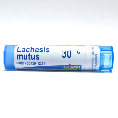 Lachesis Mutus 30C